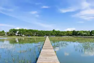 1194 Fort Lamar Rd, Charleston, SC 29412 - Photo 68