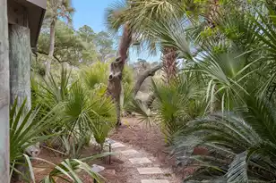 1512 Marsh Haven, Seabrook Island, SC 29455 - Photo 38