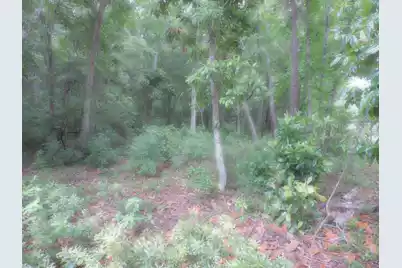 0 Folly Road, Charleston, SC 29412 - Photo 6