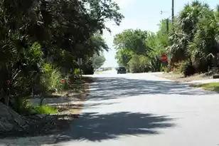 575 Pelican Ct, Edisto Island, SC 29438 - Photo 46