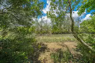 631 McLernon Trce, Johns Island, SC 29455 - Photo 44