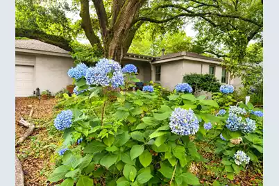971 Cliffwood Drive, Mount Pleasant, SC 29464 - Photo 8