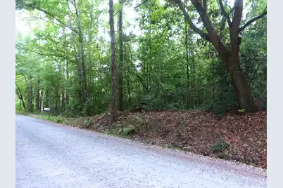 0 Branch Road, Moncks Corner, SC 29461 - Photo 4