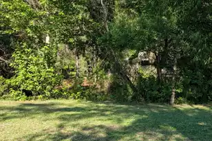 10842 Jefferies, Walterboro, SC 29488 - Photo 40
