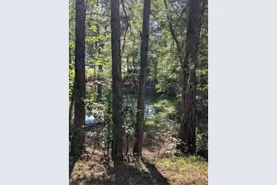 10842 Jefferies, Walterboro, SC 29488 - Photo 38