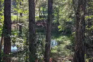 10842 Jefferies, Walterboro, SC 29488 - Photo 38