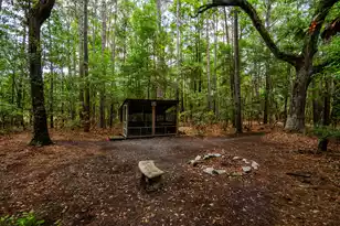 2495 Edenforest Rd, Johns Island, SC 29455 - Photo 34
