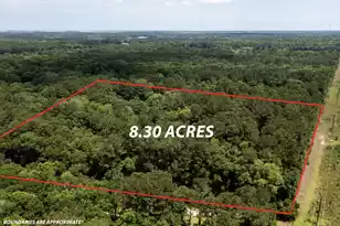 2495 Edenforest Rd, Johns Island, SC 29455 - Photo 2