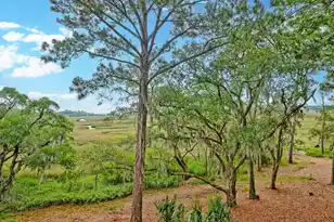 700 Daniel Ellis Dr, Charleston, SC 29412 - Photo 12