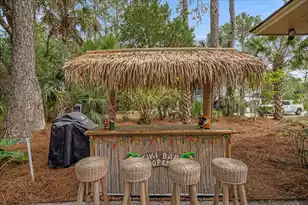 519 Ruddy Turnstone, Kiawah Island, SC 29455 - Photo 42