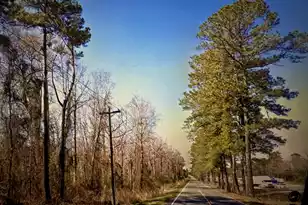 0000 Citadel Rd, Orangeburg, SC 29118 - Photo 1
