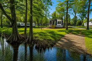 569 Stumphole Rd, Elloree, SC 29047 - Photo 6