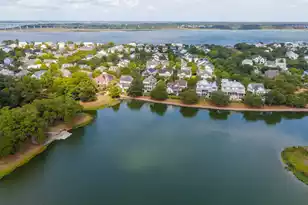 1730 Pierce St, Daniel Island, SC 29492 - Photo 78