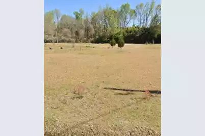 0 Lazy Lane, Bamberg, SC 29003 - Photo 1