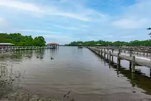1170 Shore Dr, Manning, SC 29102 - Photo 64