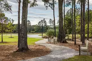 192 Sea Oats St, Summerville, SC 29485 - Photo 8