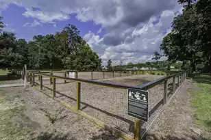 5065 Song Sparrow Wy, Summerville, SC 29483 - Photo 62