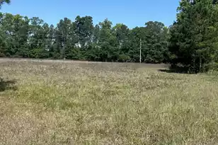 0 Pleasant Grove Rd, Walterboro, SC 29488 - Photo 1
