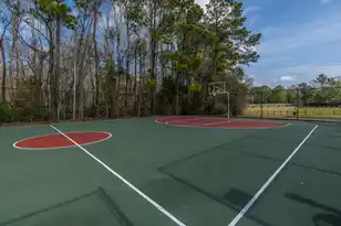 2801 Rosedown Point, Mount Pleasant, SC 29466 - Photo 64