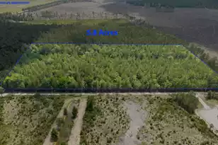 6222 Saint Delights Road #Lot 8, Georgetown, SC 29440 - Photo 1