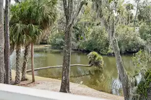 485 Sea Cloud Cir, Edisto Island, SC 29438 - Photo 30