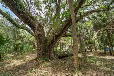 3322 Myrtle Street, Edisto Island, SC 29438 - Photo 14
