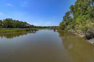 2636 Palmetto Hall Blvd, Mount Pleasant, SC 29466 - Photo 46