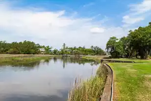 2717 Palmetto Hall Blvd, Mount Pleasant, SC 29466 - Photo 42