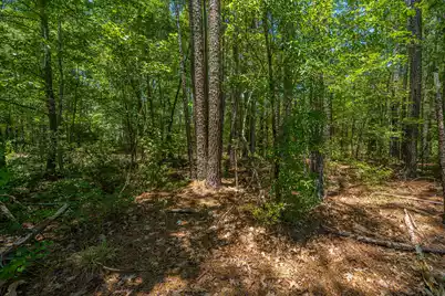 3013 Flat Rock Lane, Ridgeville, SC 29472 - Photo 62