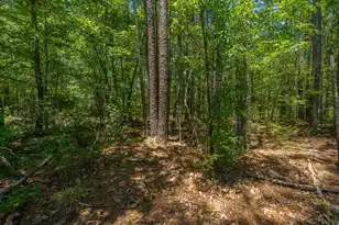 3013 Flat Rock Ln, Ridgeville, SC 29472 - Photo 62