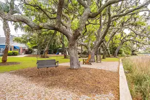 288 Molasses Ln, Mount Pleasant, SC 29464 - Photo 84