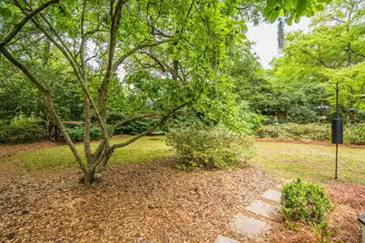 288 Molasses Lane, Mount Pleasant, SC 29464 - Photo 66