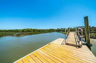 113 Sea Cotton Cir, Charleston, SC 29412 - Photo 38