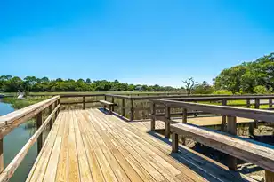 113 Sea Cotton Cir, Charleston, SC 29412 - Photo 42