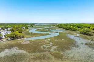 113 Sea Cotton Cir, Charleston, SC 29412 - Photo 44