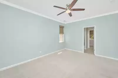 1423 Swamp Fox Lane, Charleston, SC 29412 - Photo 10
