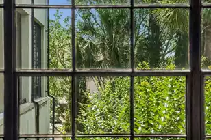 3 Chisolm Street, Charleston, SC 29401 - Photo 46