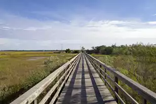 2402 Jasper Patterson Dr, Johns Island, SC 29455 - Photo 74
