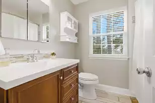 325 Jardinere Walk, Mount Pleasant, SC 29464 - Photo 16
