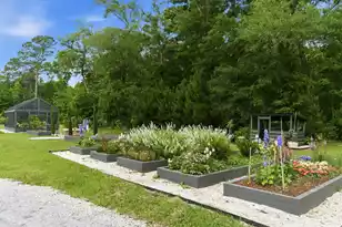 1885 Liberia Rd, Wadmalaw Island, SC 29487 - Photo 56