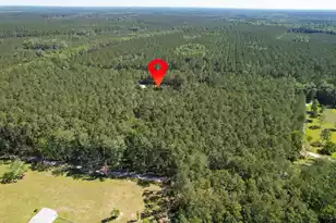 8144 Autumn Mist Ln, Adams Run, SC 29426 - Photo 32