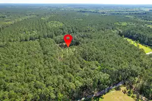 8144 Autumn Mist Ln, Adams Run, SC 29426 - Photo 32
