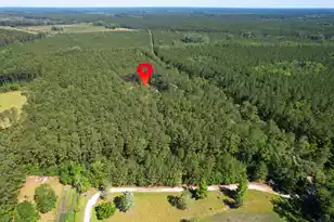 8144 Autumn Mist Ln, Adams Run, SC 29426 - Photo 40