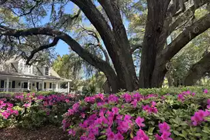 4339 Hope Plantation Dr, Johns Island, SC 29455 - Photo 34