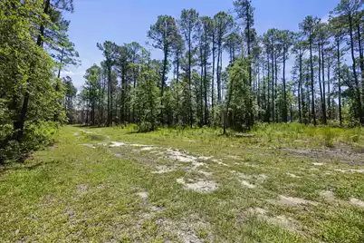 543 Campbell Road, Ridgeville, SC 29472 - Photo 38