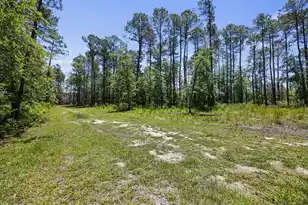 543 Campbell Rd, Ridgeville, SC 29472 - Photo 38
