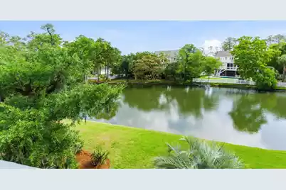 403 Evian Way, Mount Pleasant, SC 29464 - Photo 44