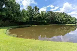 142 Black River Dr, Summerville, SC 29485 - Photo 32