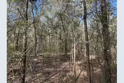 11 Boat Landing Road, Ridgeville, SC 29472 - Photo 6