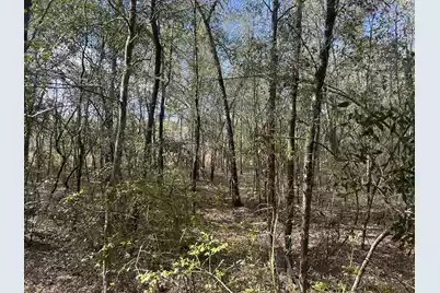 11 Boat Landing Road, Ridgeville, SC 29472 - Photo 8